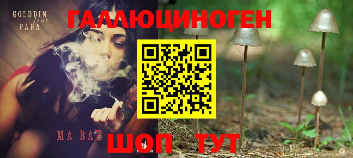 Галлюциногенные грибы прущие грибы Чусовой